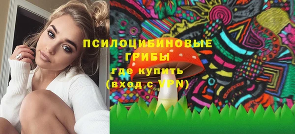 скорость mdpv Богородицк
