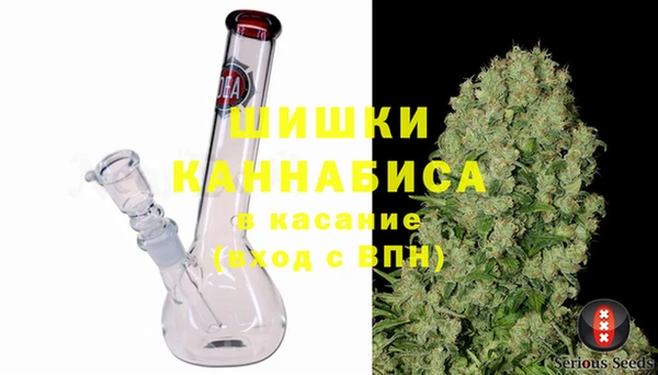 крисы Богородск