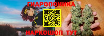 СК Будённовск