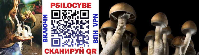 где купить наркоту  Великий Устюг  Галлюциногенные грибы Psilocybine cubensis 