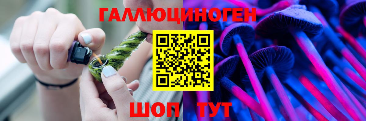 Псилоцибиновые грибы прущие грибы Великий Устюг