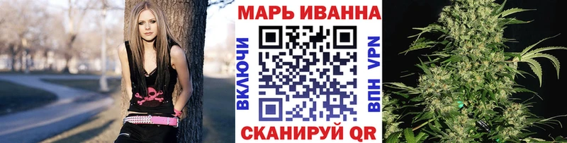 закладка Великий Устюг Бошки Шишки ГИДРОПОН